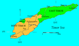 La isla de Timor y sus divisiones