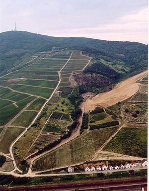 Tokaj - Hegyalja-06.jpg