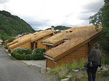 An ecovillage in Torvetua, Norway Torvetua eco-village (3254898889).jpg