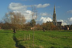 Вид через водные луга Харнема, Солсбери - geograph.org.uk - 1586364.jpg