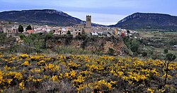 View of Priego