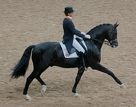 Edward Gal et Gribaldi, étalon Trakehner, lors d'une compétition de dressage