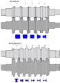 Schematische Darstellung kalibrierter Vor- und Fertigwalzen