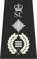 West Midlands Chief Officer.svg