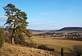 Blick von der Wiesenthaler Schweiz auf Wiesenthal (Thüringen)