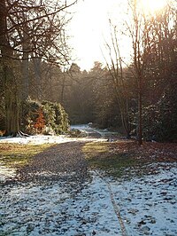 The Great Park in Winter