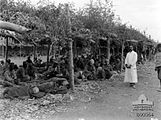 Prisonniers de guerre ottomans à l'hôpital de Kaukab près de Damas, 1918