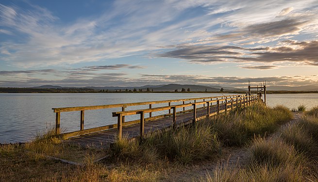 A pier at a campsite at Sidney Spit on Sidney Island, part of Gulf Islands National Park Reserve in British Columbia Photograph: Michal Klajban