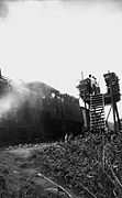 Ravitaillement en bois d'une locomotive