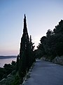 Bicycle path on Marjan