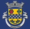 Coat of arms of Travancinha