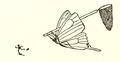 Cartoon van een 'vlinderjacht'