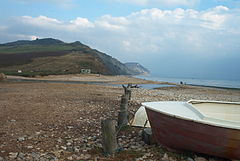 Charmouth Fossils