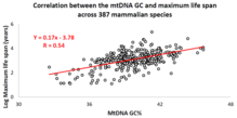 Animal species mtDNA base composition was retrieved from the MitoAge database and compared to their maximum life span from AnAge database. Correlation between the mtDNA GC%25 and maximum life span across 387 different mammalian species.png