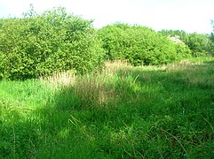 Another view of the old curling ponds