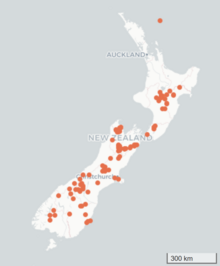 Map of New Zealand, with orange markers showing the distribution of Euchiton traversii.