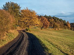 Rennweg von Kirchlauter nach Breitbrunn