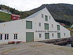 Hagevik tønnefabrikk