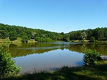 Etang Du Cocou