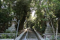 九木神社参道石段。両側に暖地性樹木が茂る。