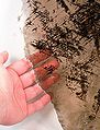 Fast durchsichtige Muskovitscheibe mit Hämatit-Einschlüssen aus Chandler’s Hollow, Delaware (Gesamtgröße 32,0 cm × 22,9 cm × 0,2 cm)