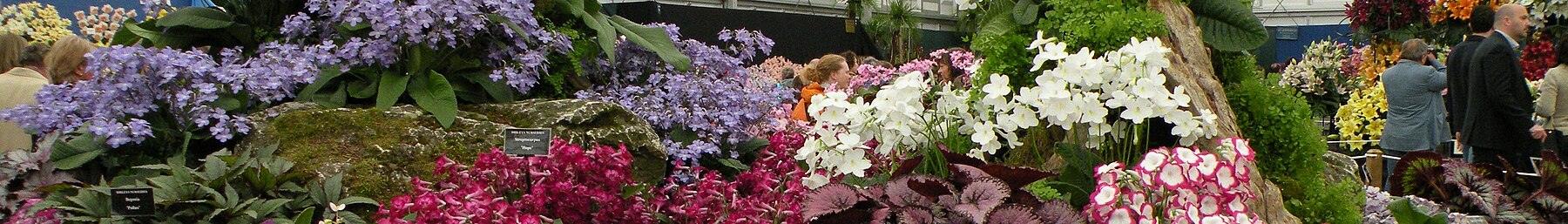 Chelsea Flower Show