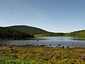 鎌沼から東吾妻山