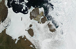 Новосибирские острова MODIS.jpg