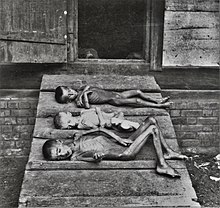 Victims of the Russian famine of 1921-1922 during the Russian Civil War No-nb bldsa 6a030.jpg