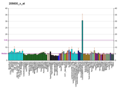 PBB GE HOXB5 205600 x в формате fs.png