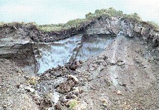 I contributed substantially to the article on Permafrost and created a new one on Syngenetic permafrost growth.