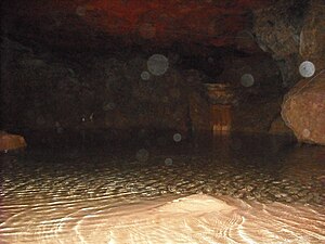 Photograph taken within Clearwell Caves, exhib...