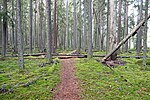 Miniatura para Parque nacional de Pyhä-Häkki