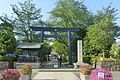 Main torii gates