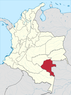 沃佩斯省在哥伦比亚的位置