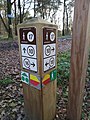 Markeringspaal met markeringen van wandelknooppuntennetwerk Westerveld in het Holtingerveld, het Drenthepad en linksonder een mountainbikeroute