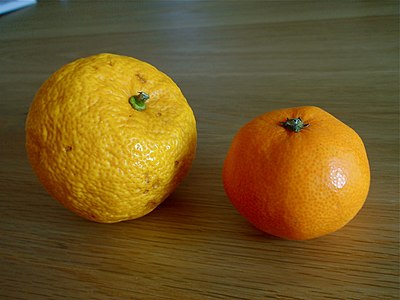 Yuzu (kiwa) dibandhingake karo jeruk mandarin (nengen)