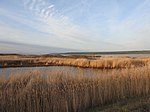 Kuludzhun State Nature Sanctuary (zoological)