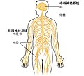 於 2019年7月16日 (二) 09:44 版本的縮圖