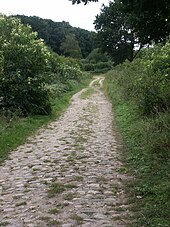 L'ancienne route du sel à Breitenfelde