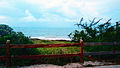 Morning view of beach