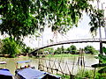 Cầu dây văng Phú Vĩnh ở thị trấn Phú Hòa.