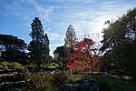 Miniatura per Cambridge University Botanic Garden