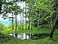 Camp celtique de la Bure, Saint-Dié-des-Vosges. Bassin des Déesses-Mères.