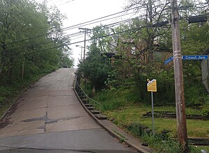 Canton Avenue, the steepest street in the country, in Beechview