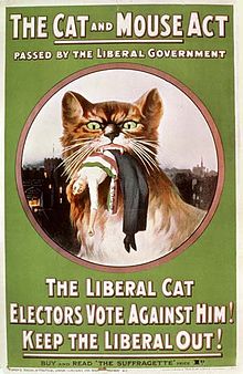 Cat and Mouse Act WSPU poster (1914) Cat and Mouse Act Poster - 1914.jpg