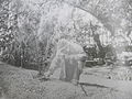 Un homme avec chapeau et imperméable long, Alphonse Denis, est agenouillé devant une plante exotique qu'il entretient. En fond de photographie, grilles, tables et chaises de jardin et pots.