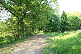 Chemin de Champfailly (hauteur du Rhodon).