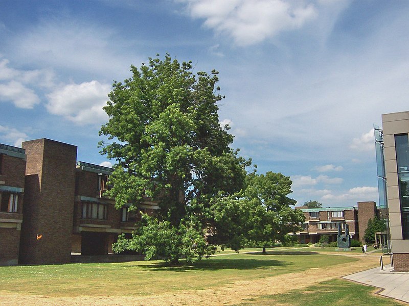 File:Churchill College Cambridge - Central area and Hepworth.jpg