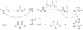 The mechanism of a Claisen condensation